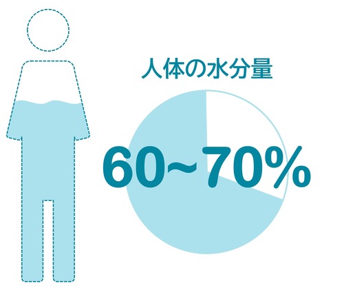 人体の水分量は約60％〜70％であることを示すグラフ
